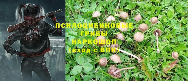 бошки Алексеевка