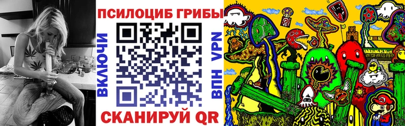 omg   где продают наркотики  Малаховка  Галлюциногенные грибы Cubensis 